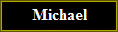 Michael White, Software Developer